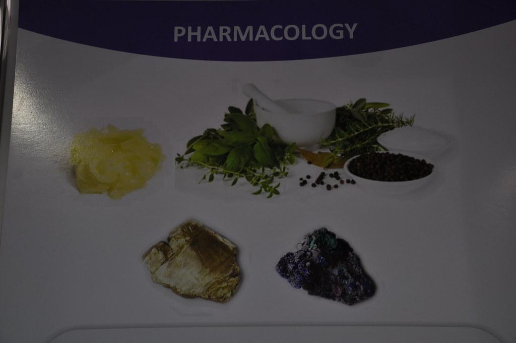 Ayurveda - Pharmacology - a white tray with a variety of minerals